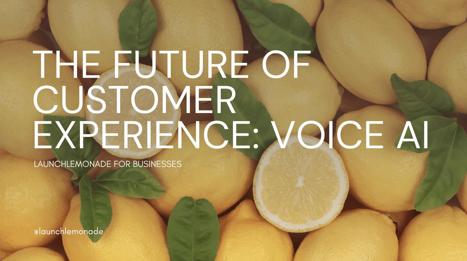 The Future Of Customer Experience is Voice AI