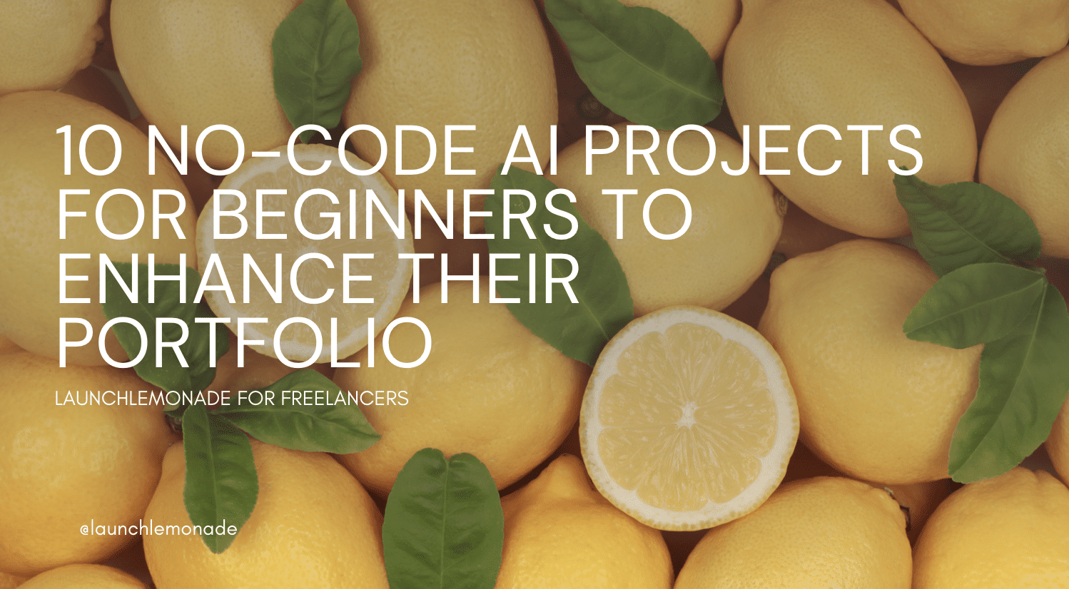 No code tools for beginners